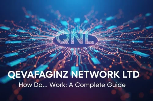 How Do Qevafaginz Network Ltd Wor